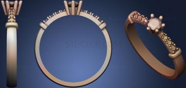 3D модель Кольцо 43 (STL)